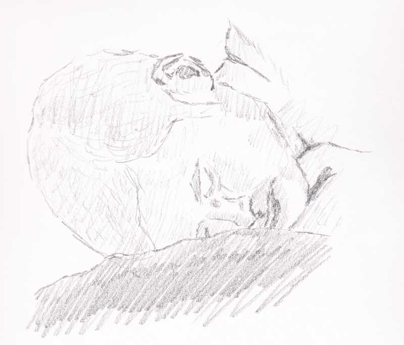 Man's head, lying