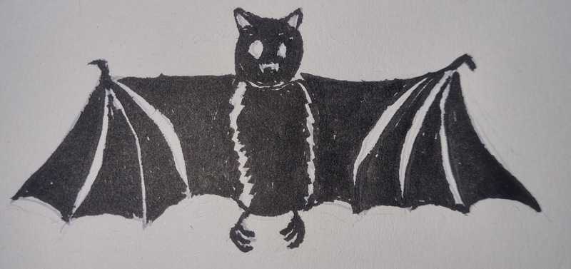 Bat, Ink